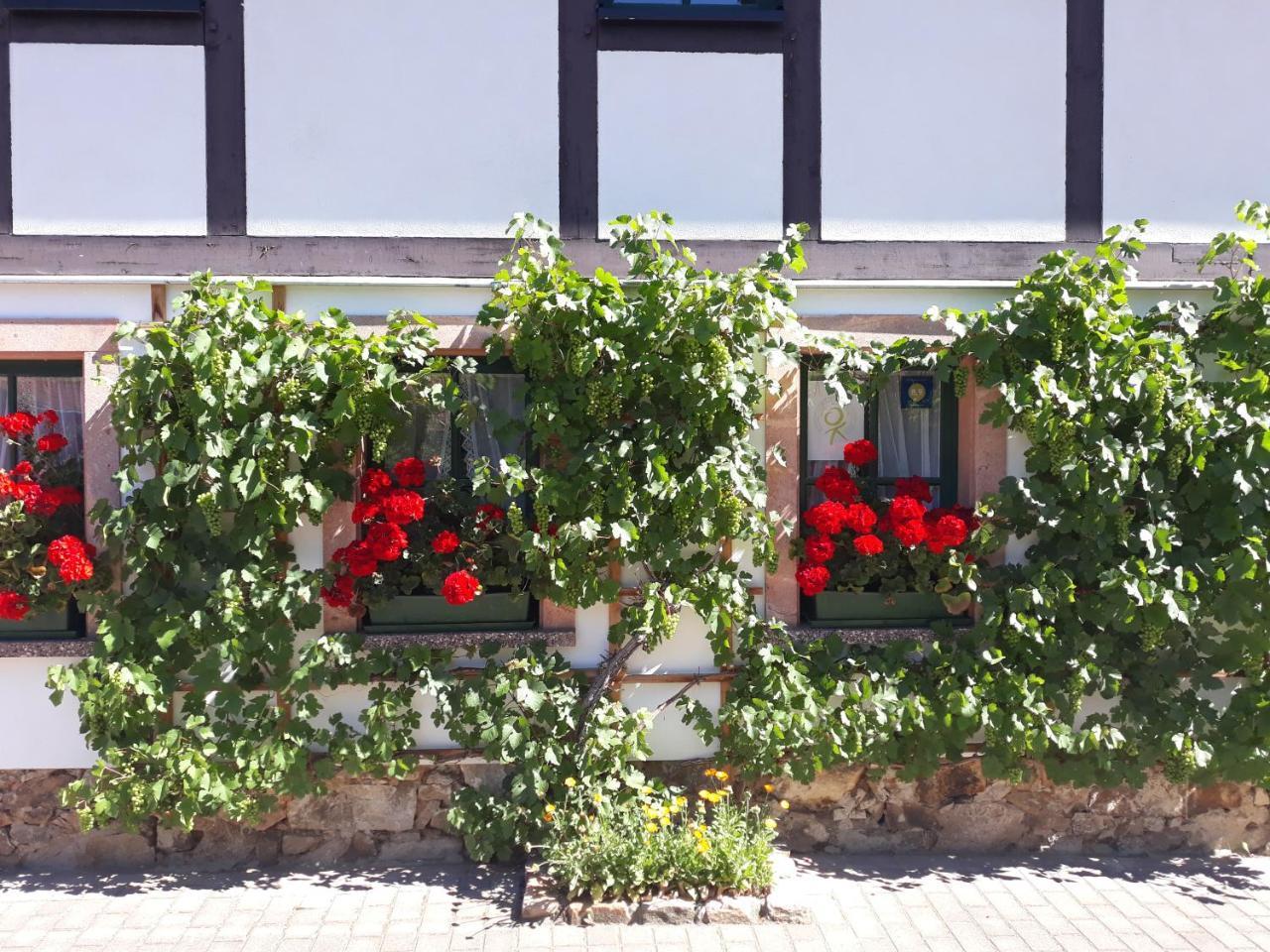 Balancehaus Kohren-Sahlis, Dein Kurhaus In Sachsen 호텔 외부 사진